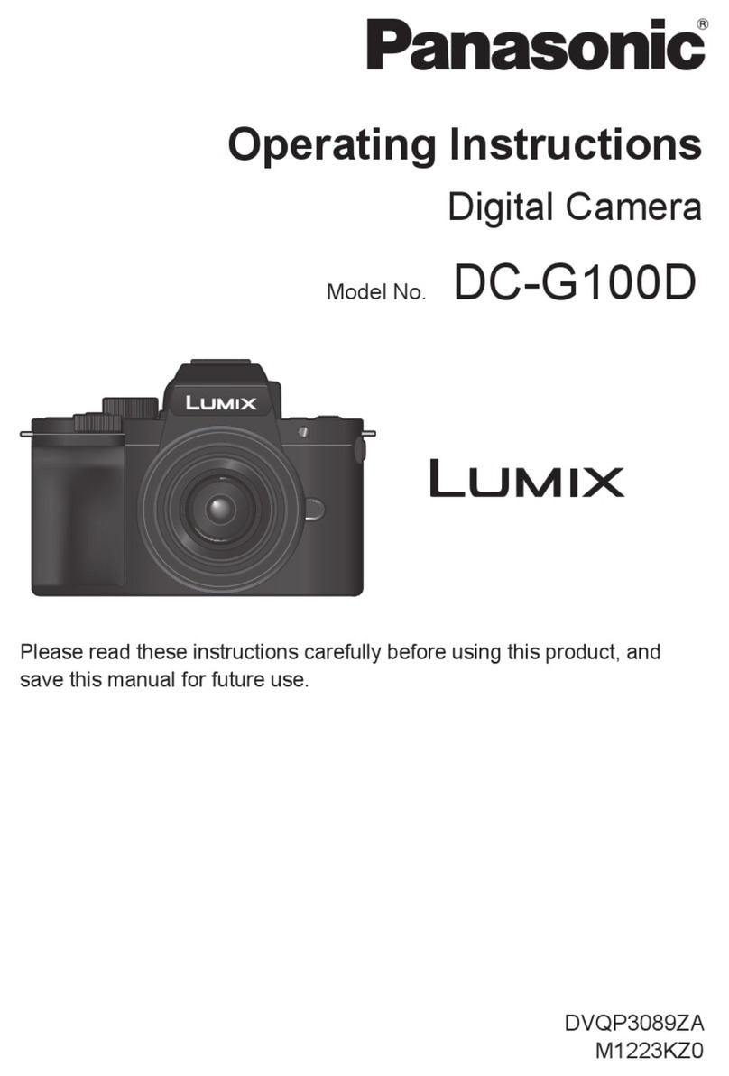 Panasonic LUMIX DC-G100D User manual