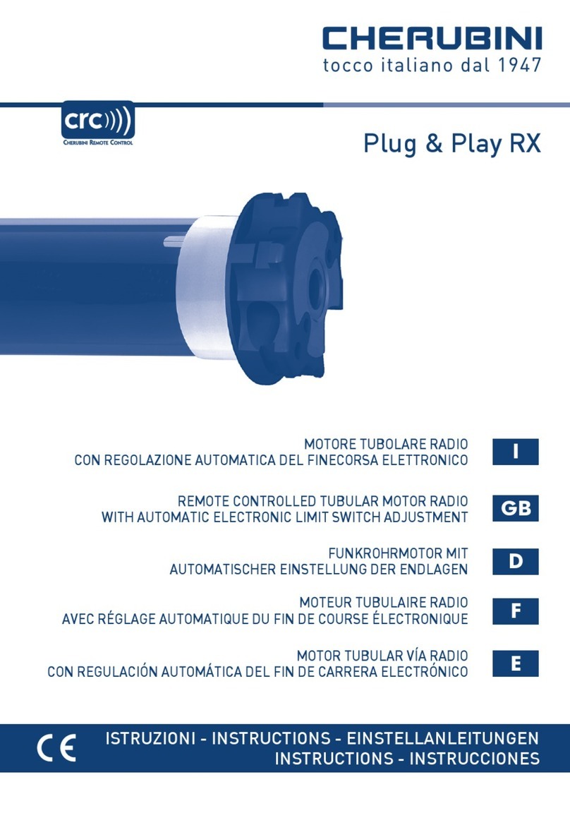 CHERUBINI Plug instructions