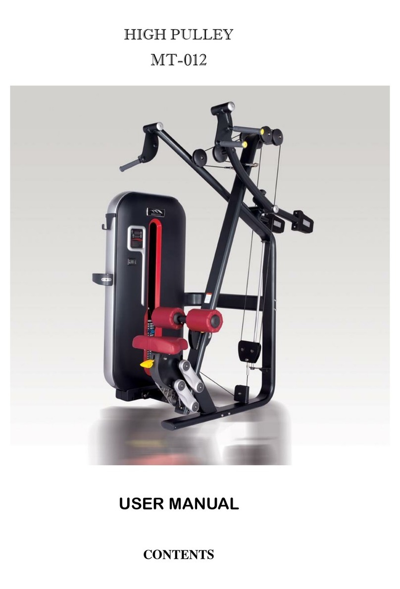 BRONZE GYM MT-012 User manual