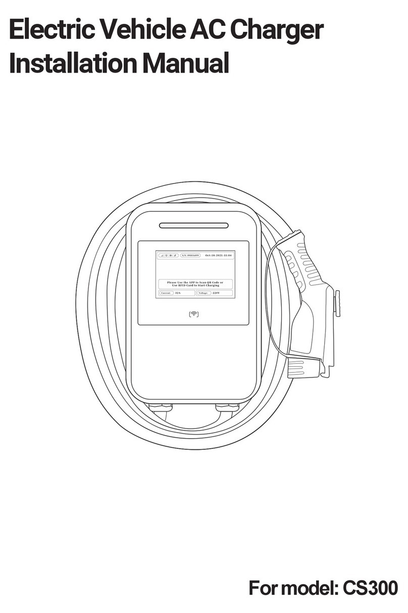 LinkPower CS300 installation manual