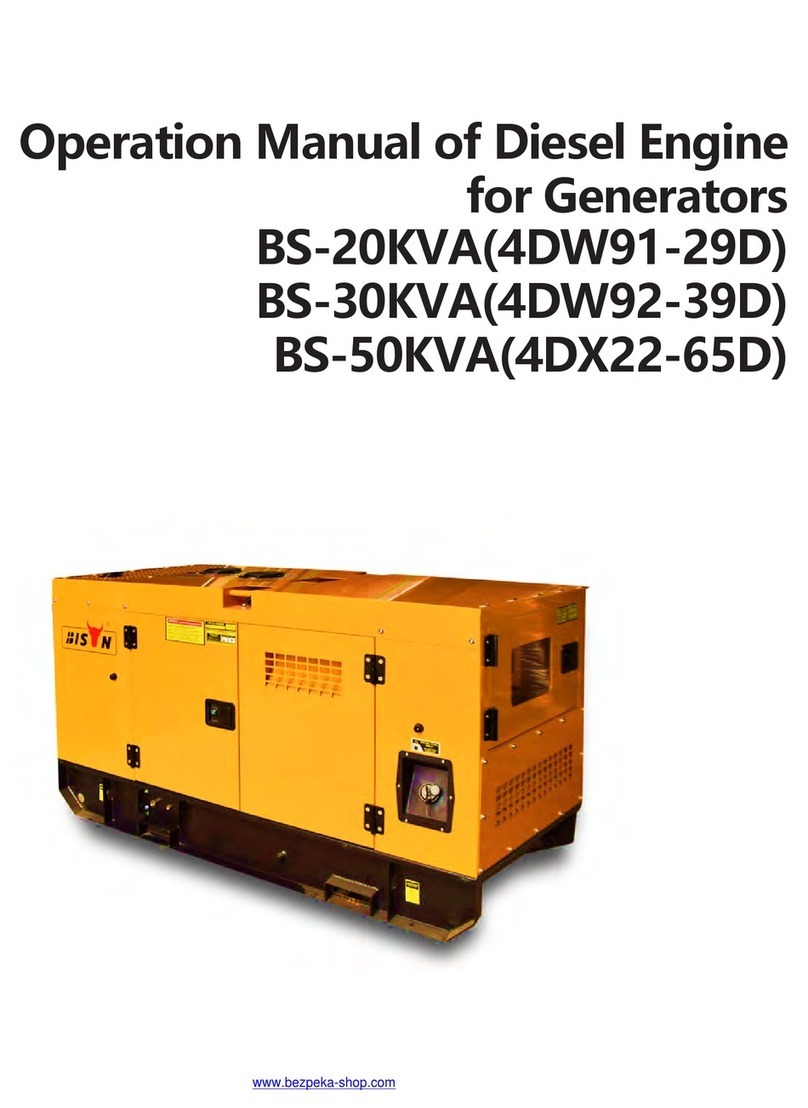 Bison BS-20KVA User manual