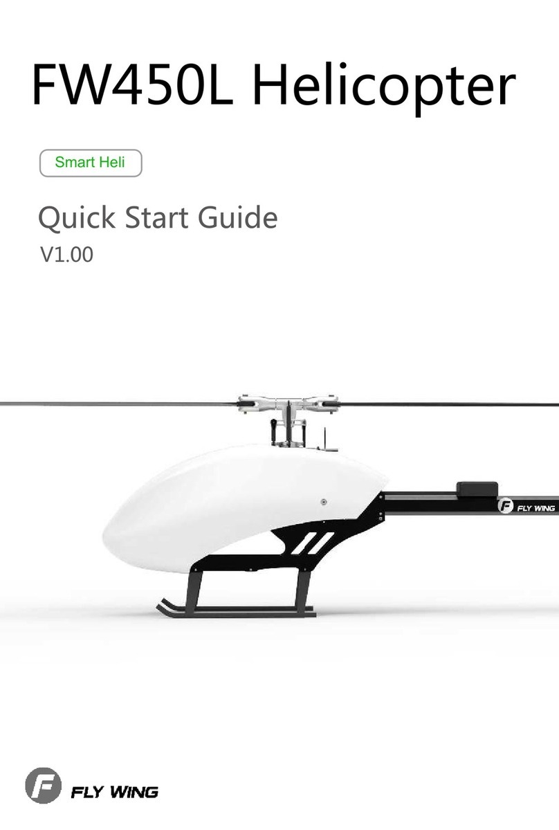 Fly Wing FW450L User manual