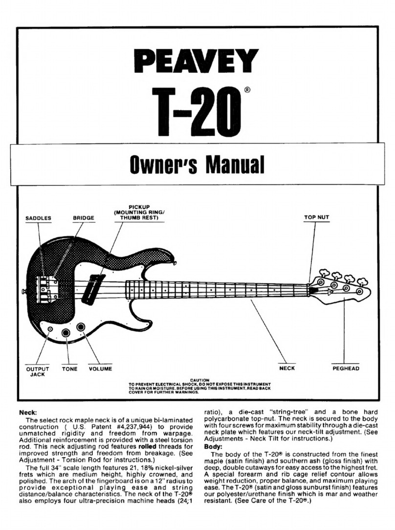 Peavey T-20 User manual Peavey T-20 User manual