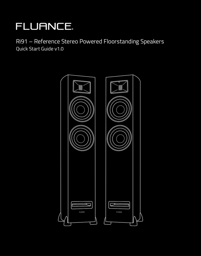 Fluance Ri91 User manual