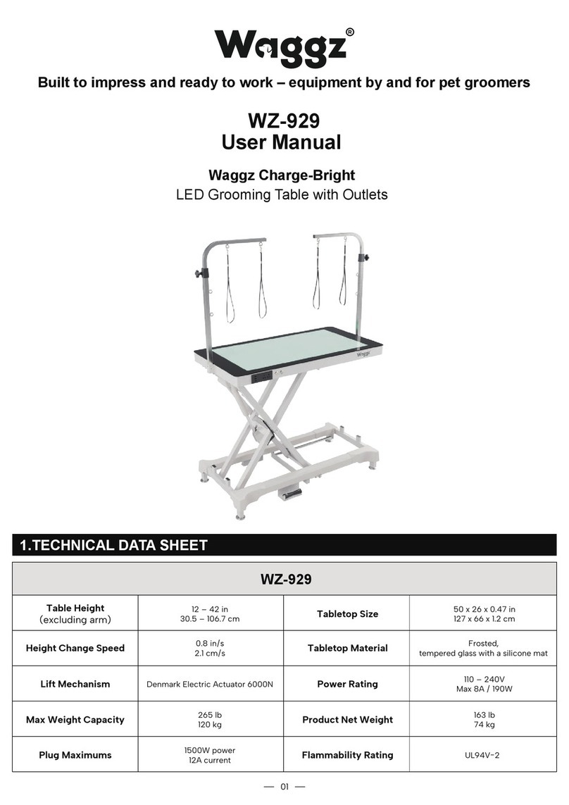 Waggz WZ-929 user manual