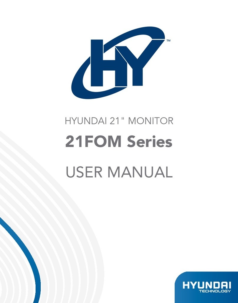 Hyundai 21FOM Series User manual