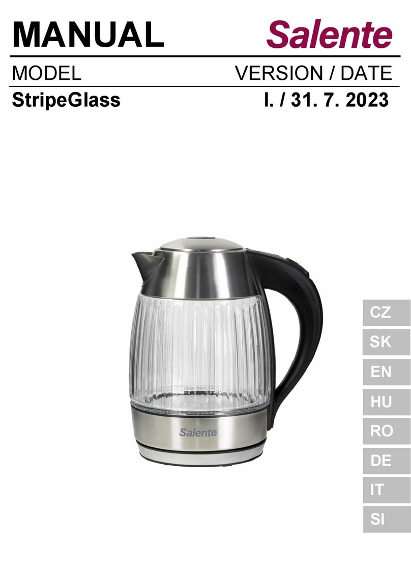 Salente StripeGlass manual