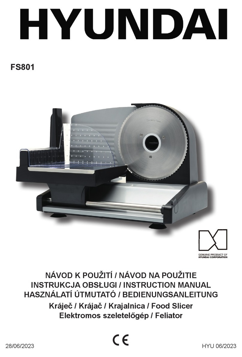 Hyundai FS801 instruction manual