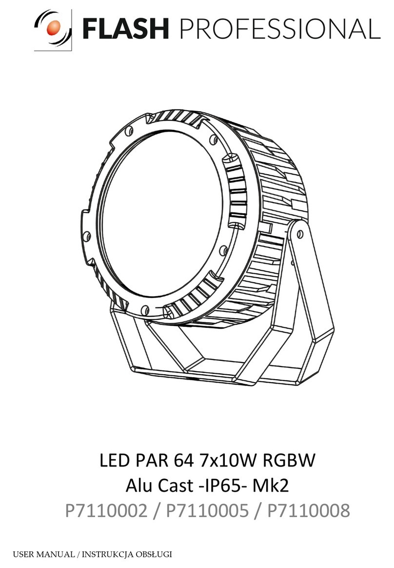 Flash professional P7110002 User manual
