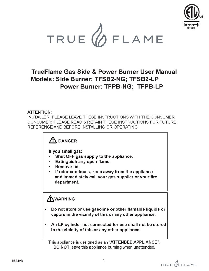 TrueFlame TFSB2-NG user manual