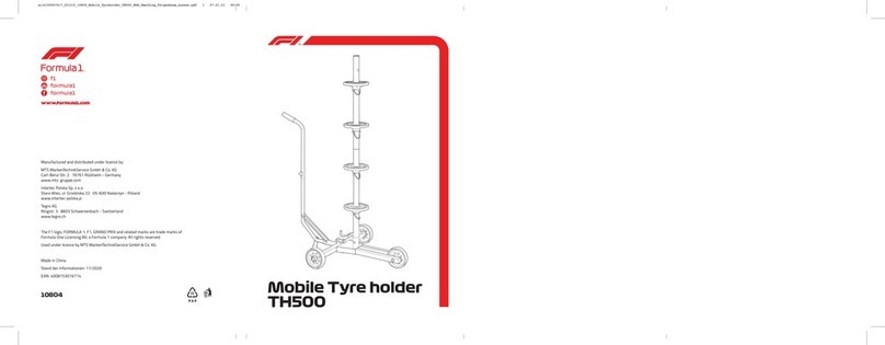 Formula 1 TH500 User manual