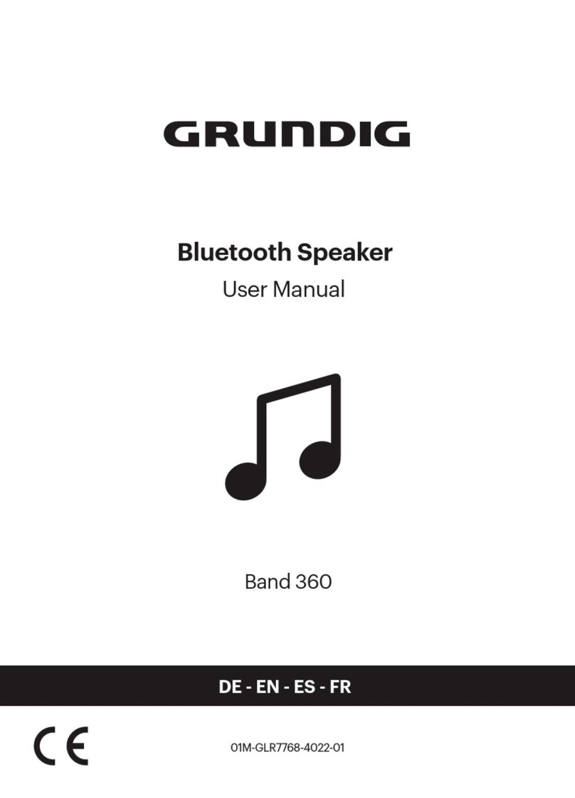 Grundig Band 360 User manual