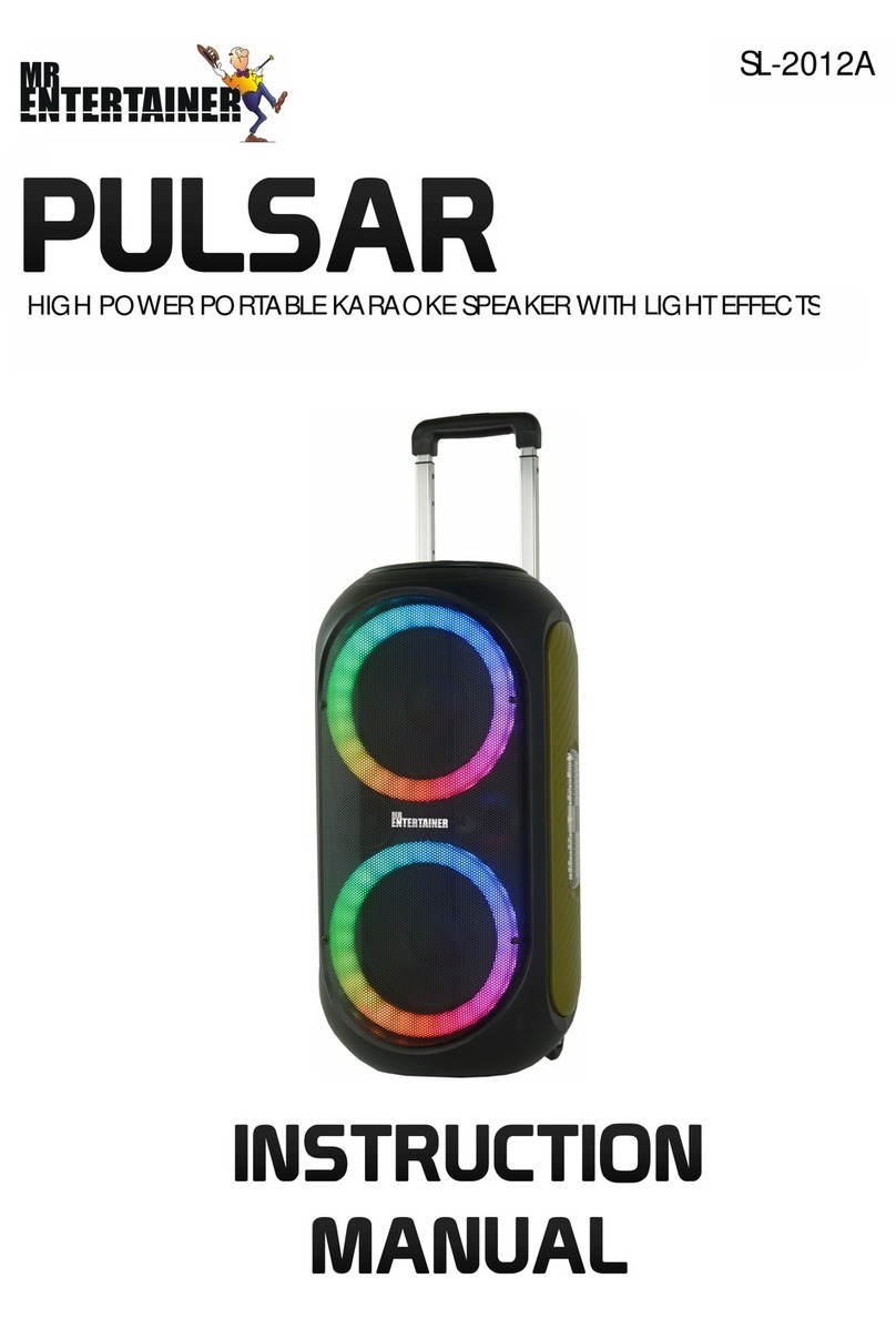 Mr. Entertainer PULSAR SL-2012A User manual