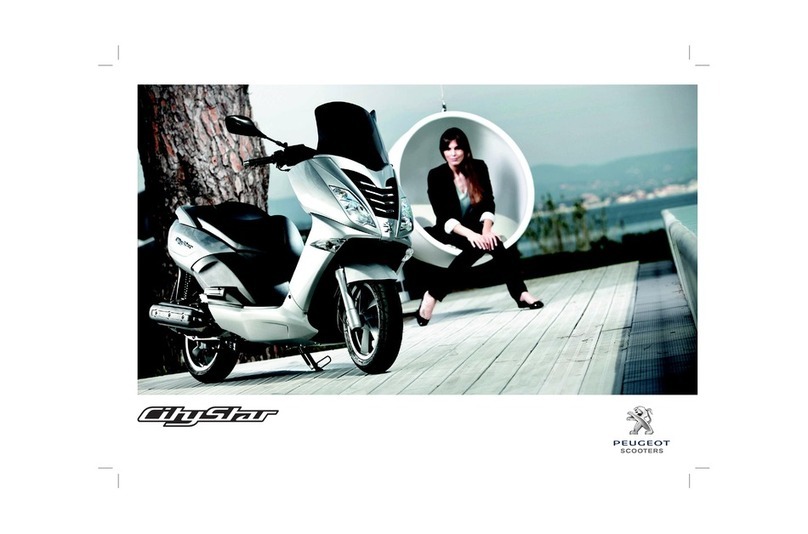 PEUGEOT citystar owner's manual