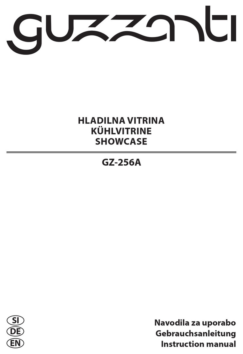 Guzzanti GZ-256A User manual