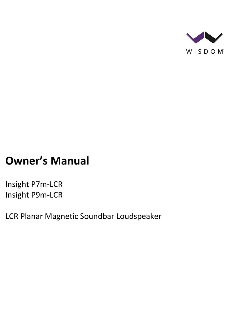 Wisdom Insight P7m-LCR User manual