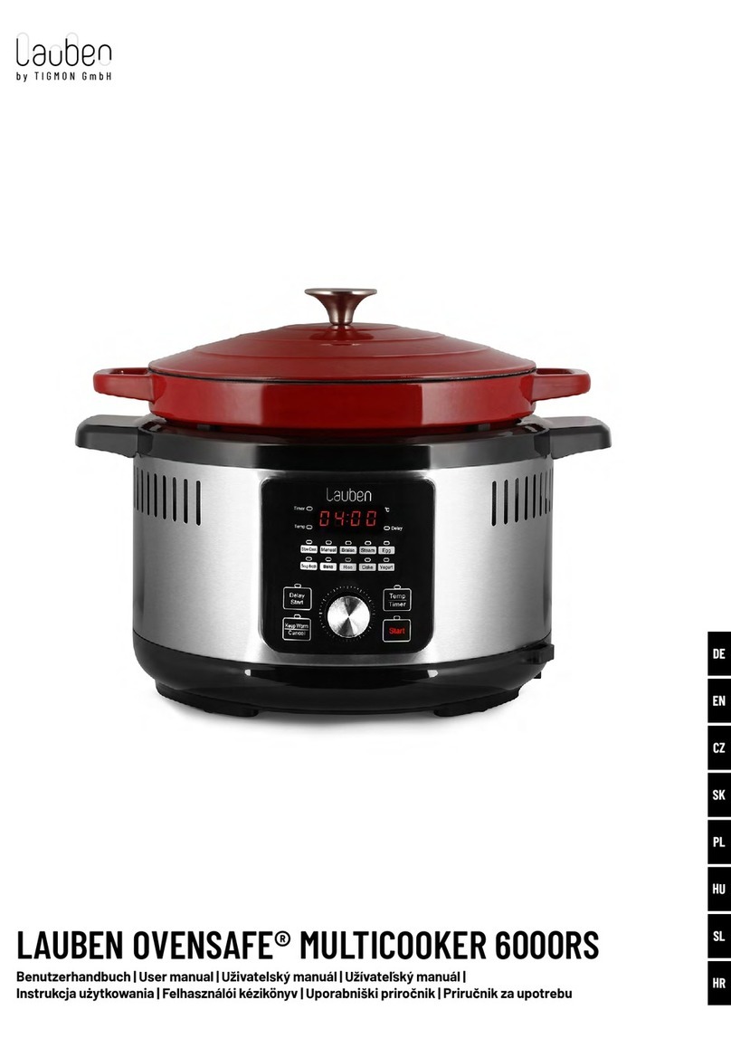 TIGMON Lauben OVENSAFE 6000RS user manual