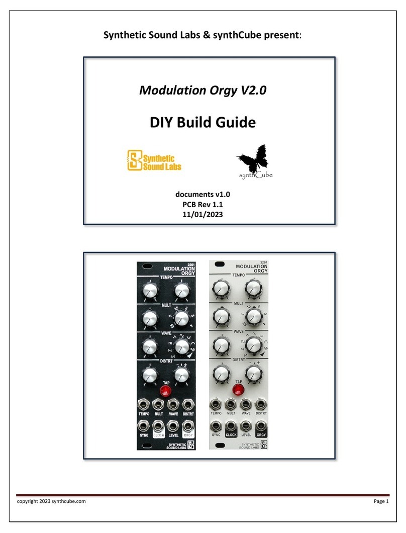 SynthCube Synthetic Sound Labs Modulation Orgy 2261 Build guide