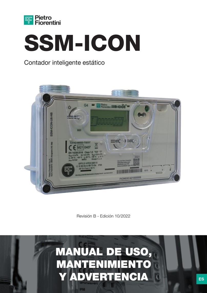PIETRO FIORENTINI SSM-ICON Use and maintenance manual