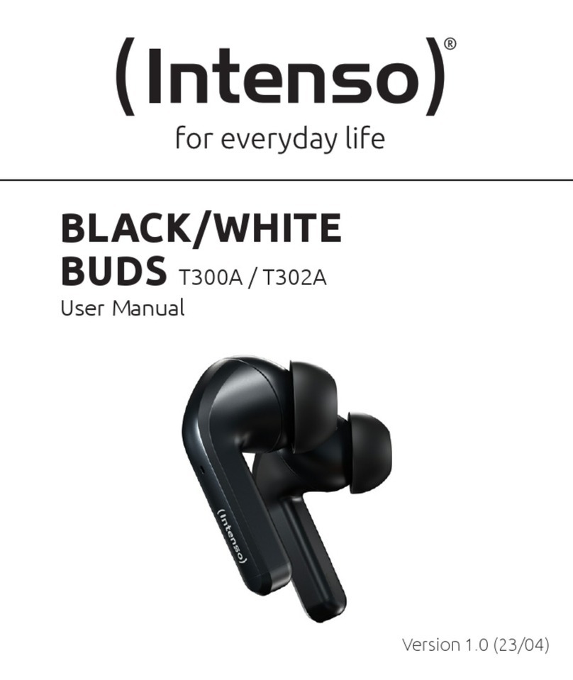 Intenso T300A user manual