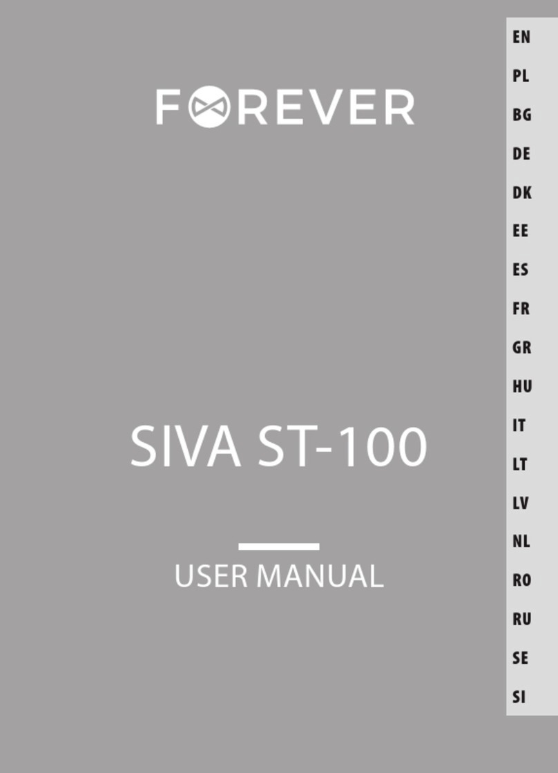 FOREVER SIVA ST-100 User manual