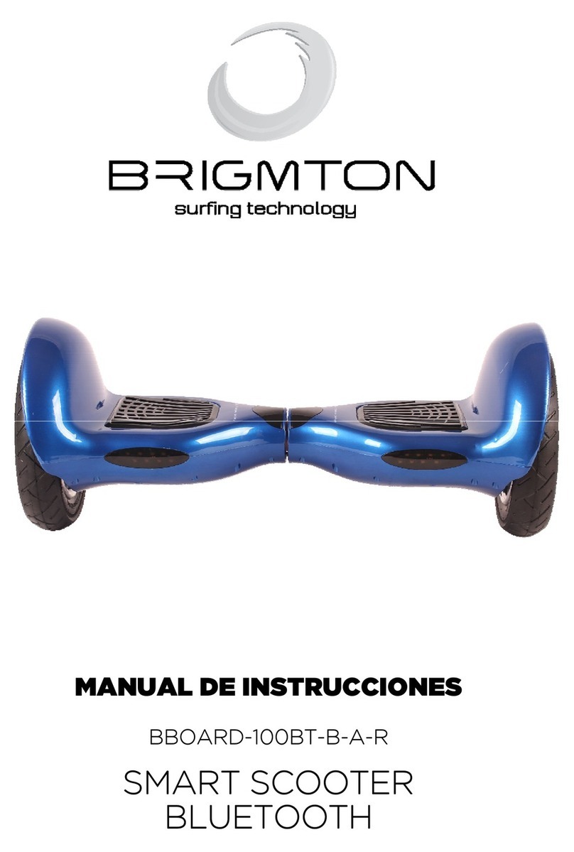Brigmton BBOARD-100BT instruction manual
