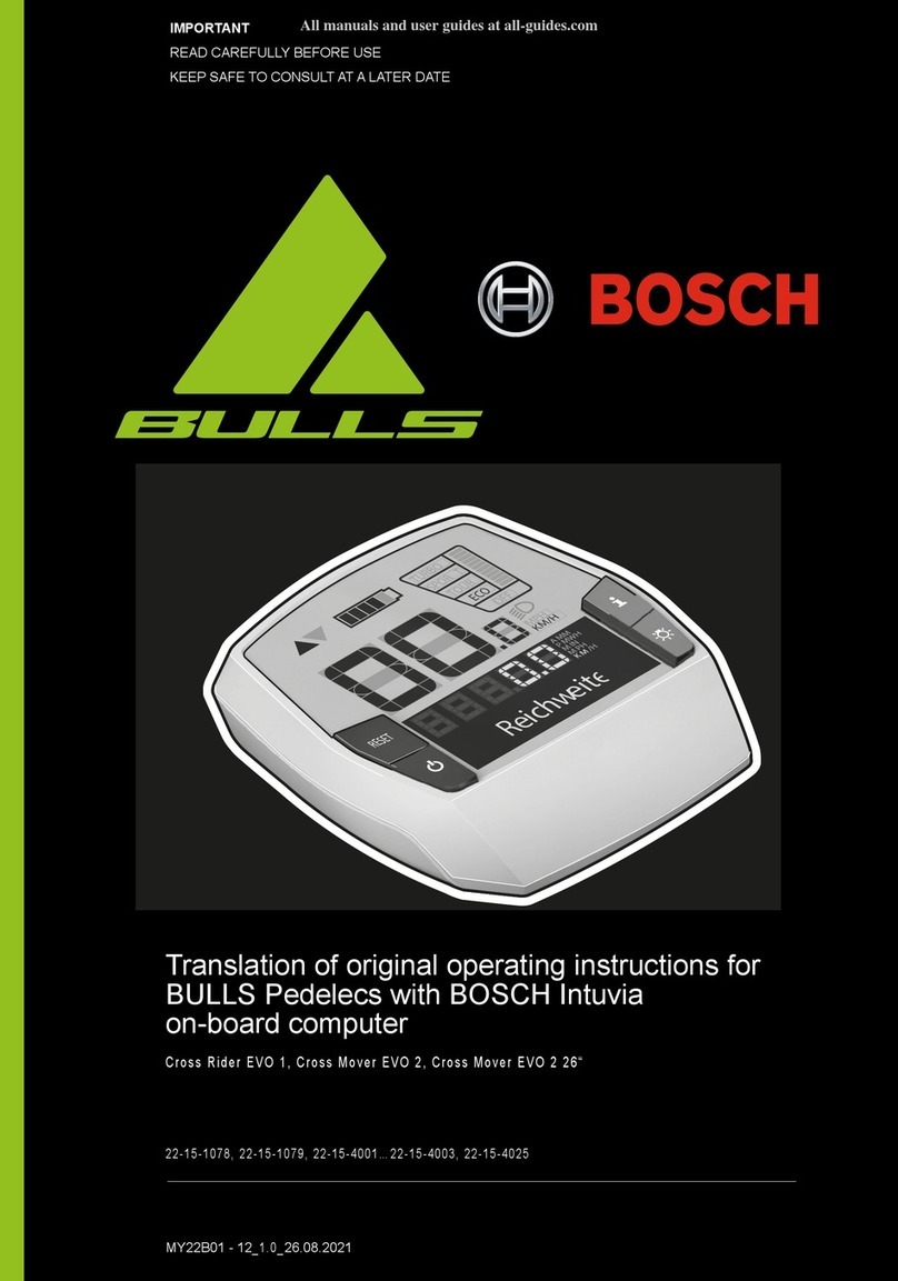 Bosch Intuvia Wiring diagram