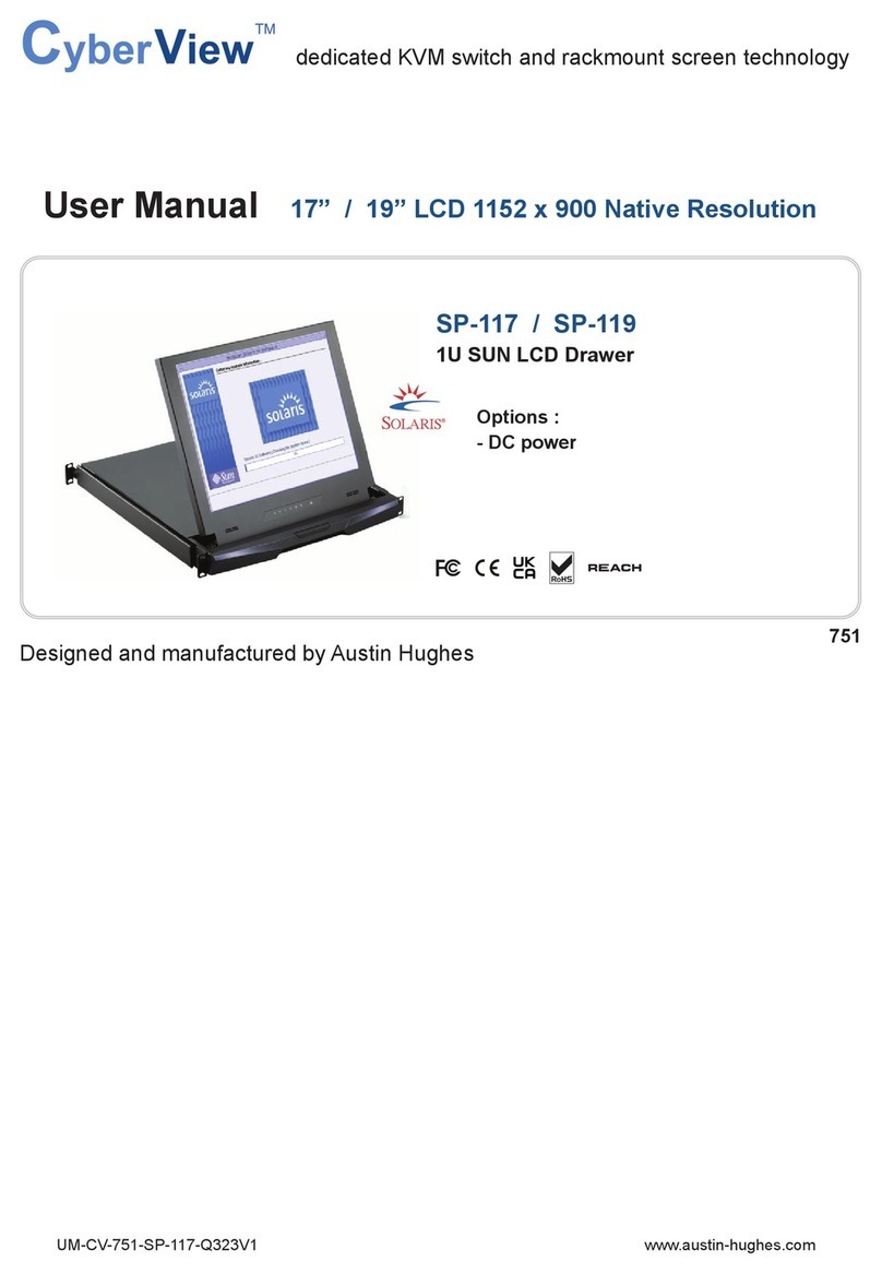 Austin Hughes CyberView SP-117 User manual