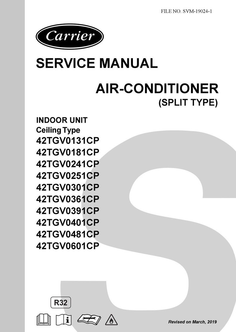 Carrier 42TGV0131CP User manual