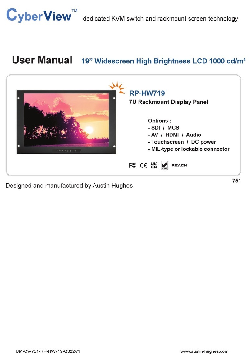 CyberView RP-HW719 User manual