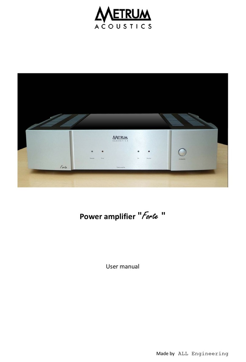 Metrum Acoustics Forte User manual