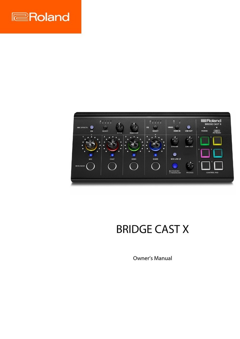 Roland BRIDGE CAST X User manual