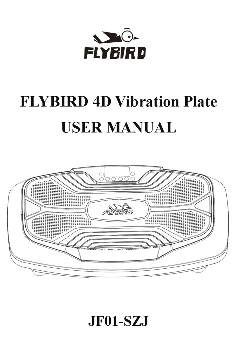 FLYBIRD JF01-SZJ user manual