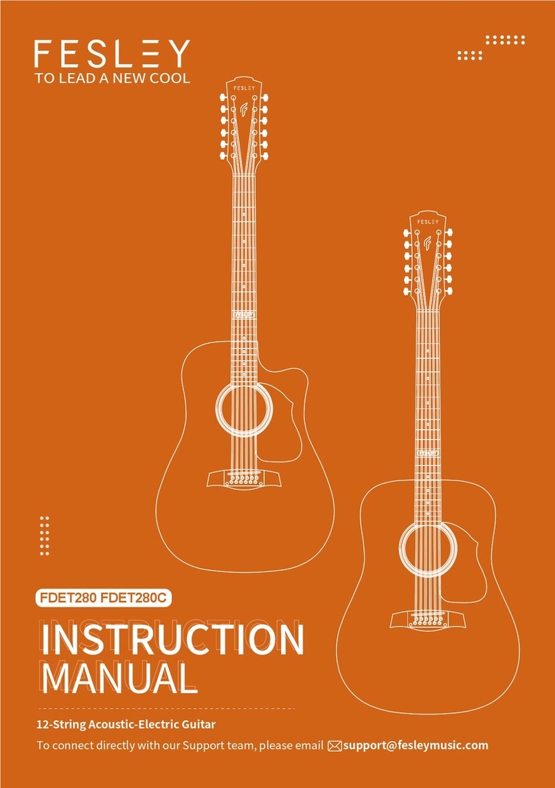 FESLEY FDET280 instruction manual