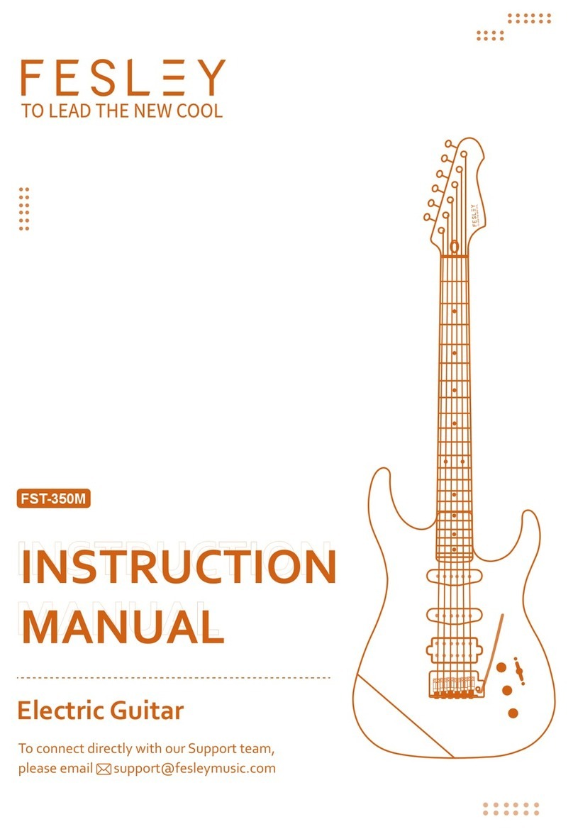 FESLEY FST-350M instruction manual