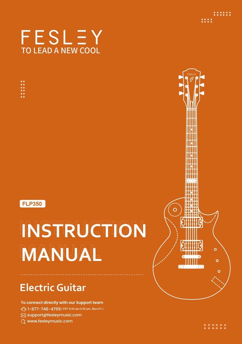 FESLEY FLP350 User manual