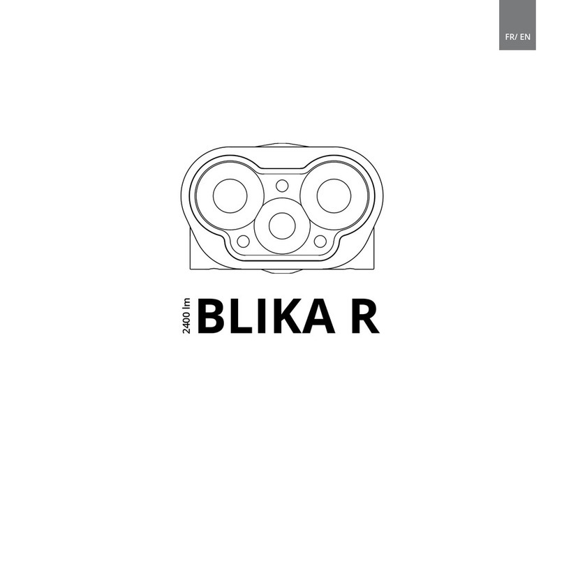 Lupine BLIKA R manual
