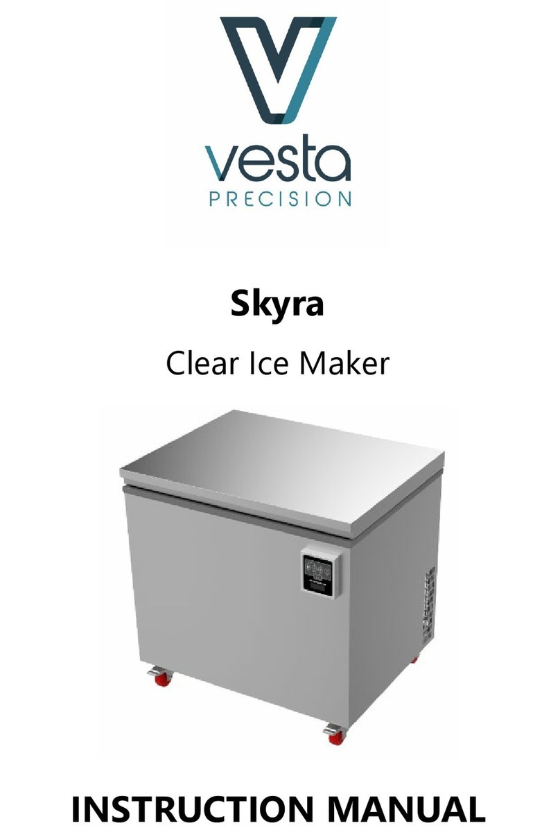 Vesta Skyra User manual