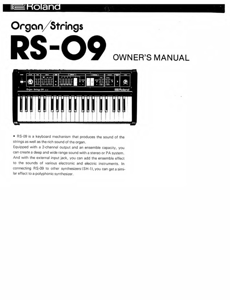 Roland RS-09 User manual