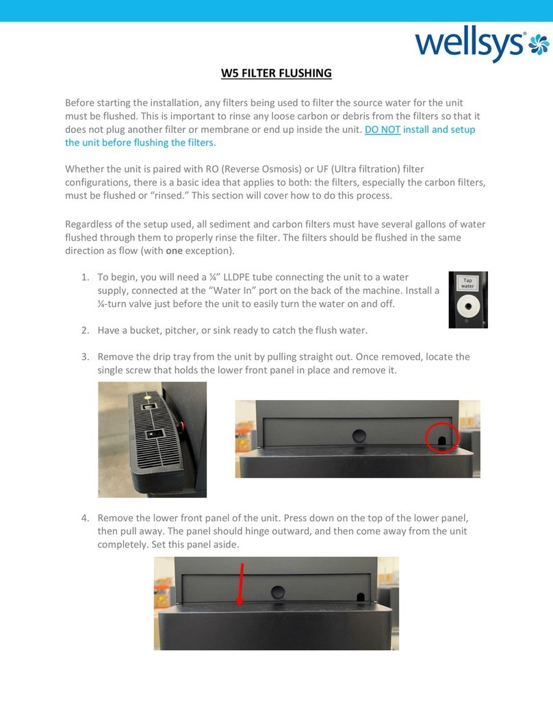 Wellsys W5 manual