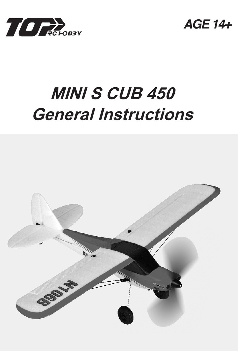 Top R/C Hobby MINI S CUB 450 Instruction manual