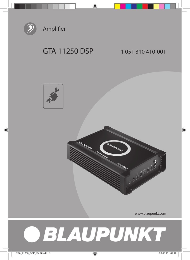 Blaupunkt GTA 11250 DSP User manual