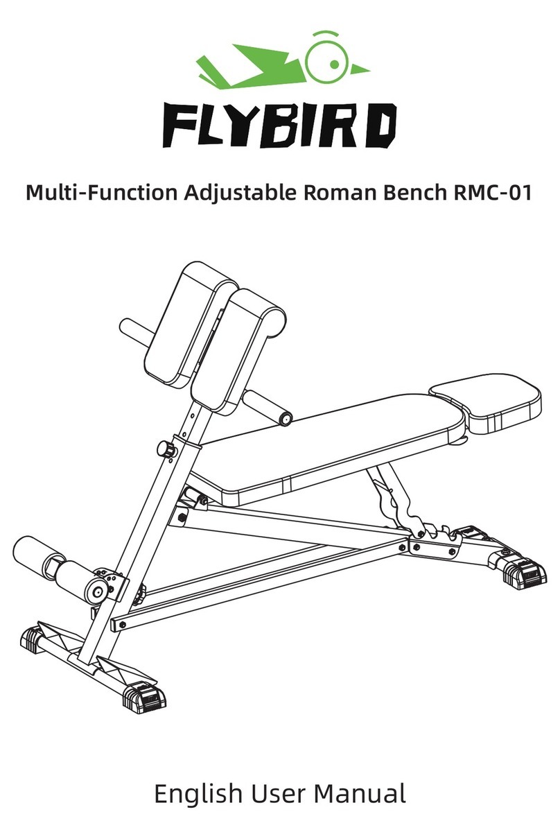 FLYBIRD RMC-01 user manual