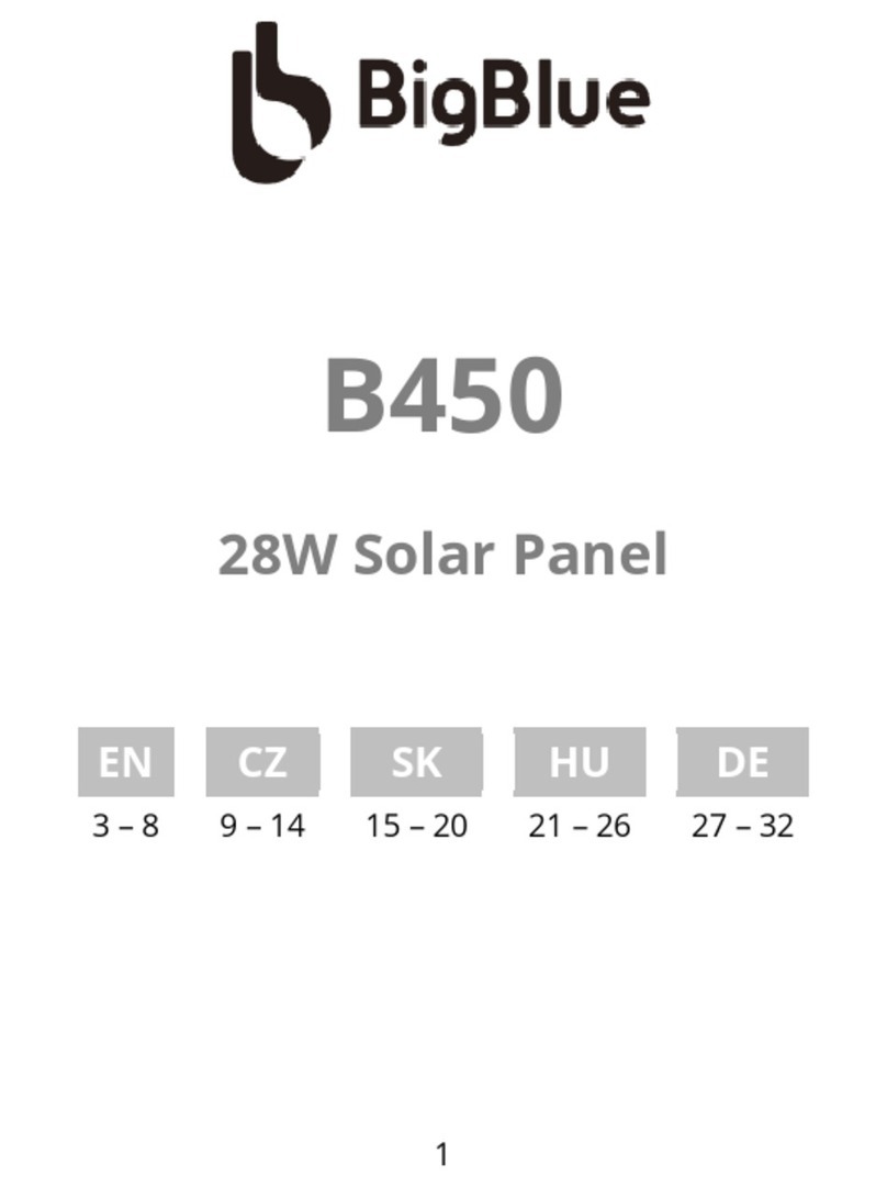 BigBlue B450 User manual