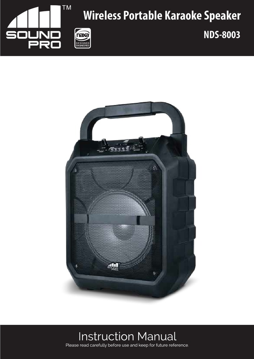 Naxa Sound Pro NDS-8003 instruction manual