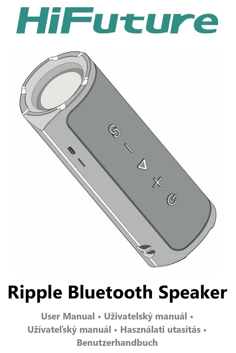 HiFuture Ripple user manual