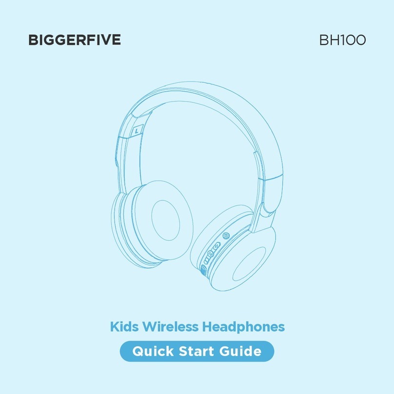 BiggerFive BH100 User manual
