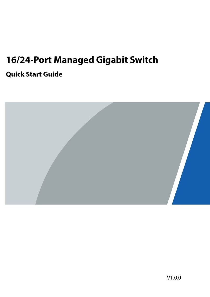 Dahua SG4028 User manual