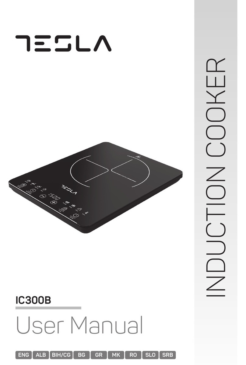 Tesla IC300B User manual
