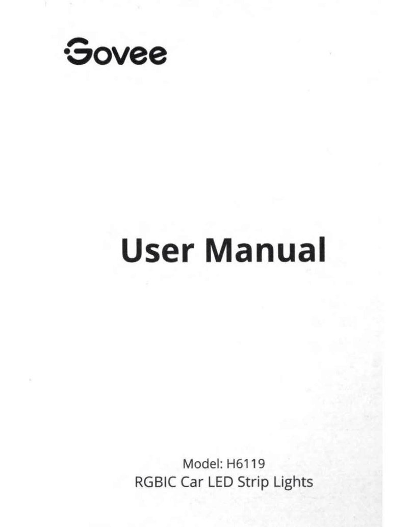 Govee H6119 user manual Govee H6119 user manual